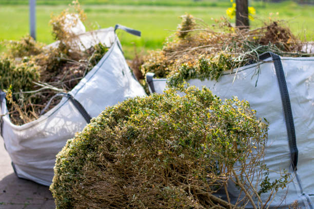 Best Shed Removal  in Bertville, AL